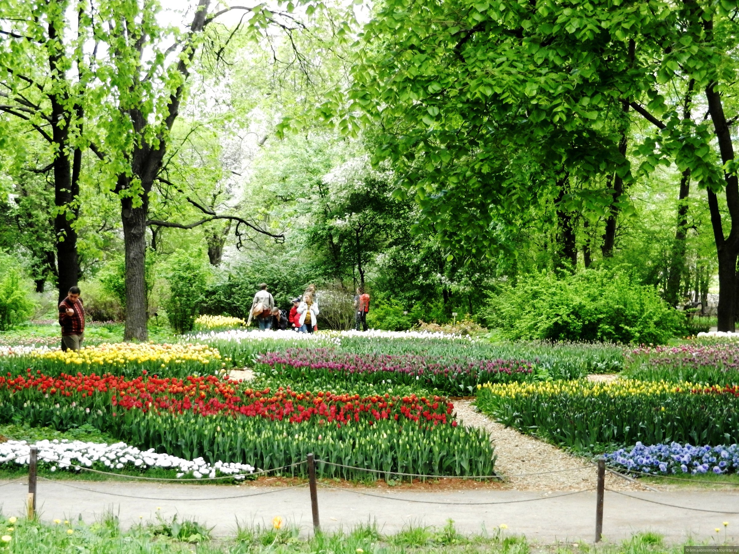 Проспект мира Ботанический сад Аптекарский огород
