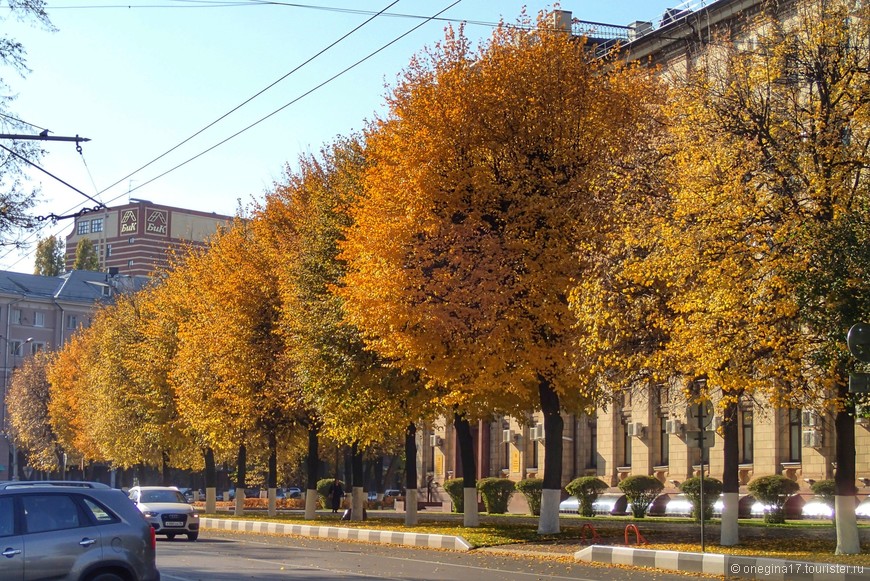 Мой любимый Воронеж... Осень. 