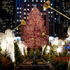 На каждое Рождество в Рокфеллеровском центре устанавливается главная ёлка города. Церемонию первого зажжения огней на ёлке транслирует телеканал NBC