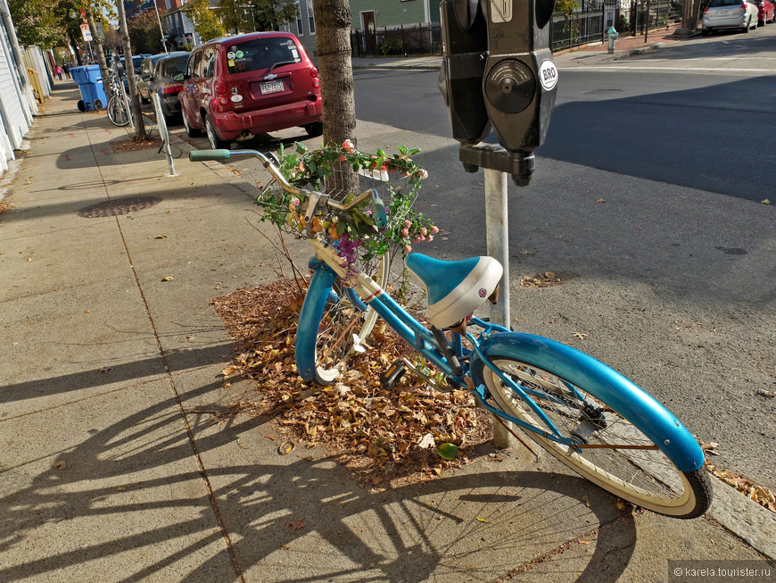 Велосипед - достаточно популярный вид транспорта в этом студенческом городе