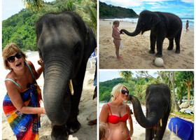 И ещё. Этого слоненка приводили каждый день на пляж отеля. Его можно кормить, гладить и даже целоваться с ним. 