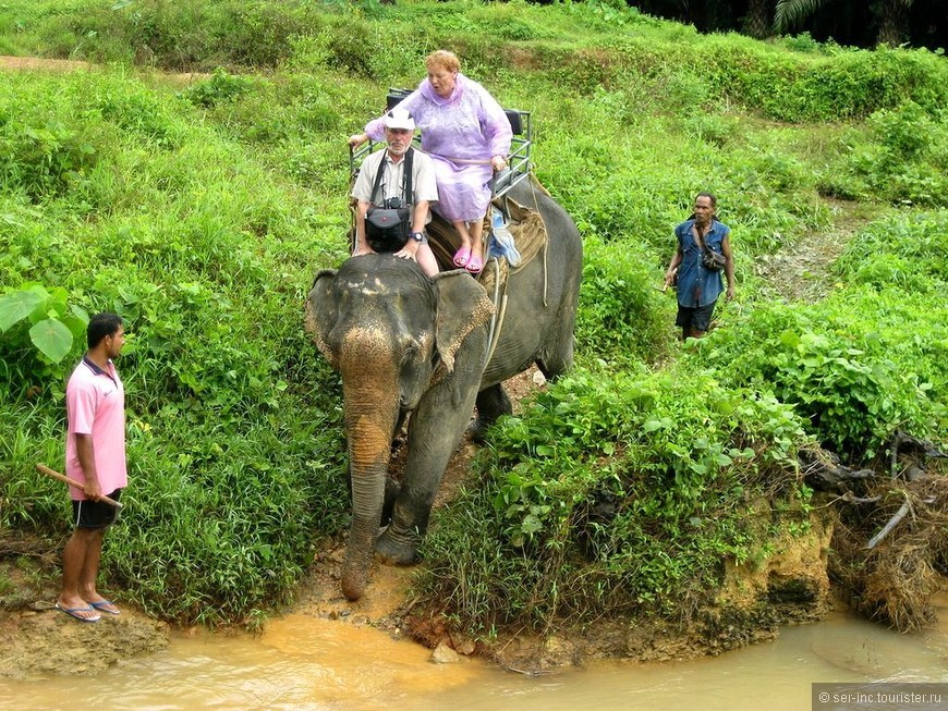 Прогулка по джунглям Као Сок — национального парка Таиланда