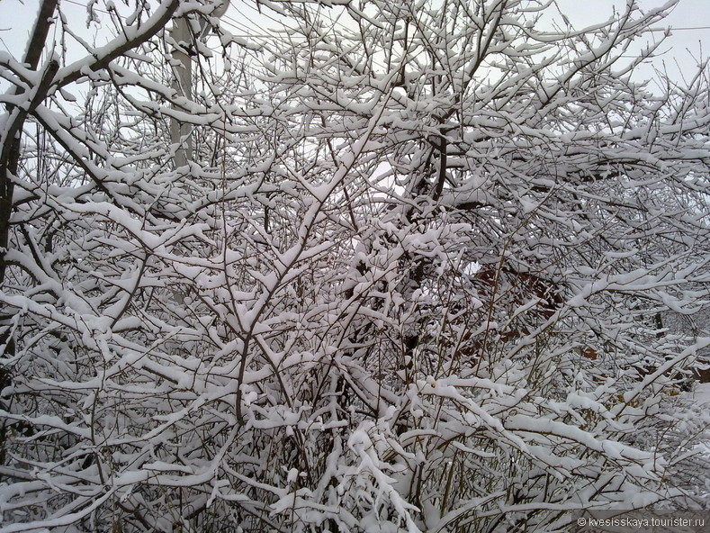 Зима в России