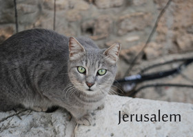 Иерусалим: Стена Плача