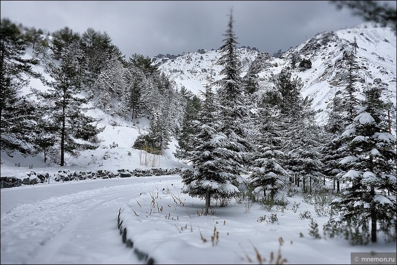 На Кипр пришла зима (часть 2) Troodos, Cyprus, Winter