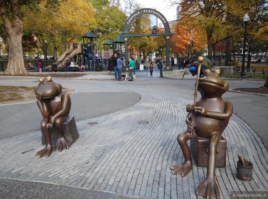 В Boston Common есть даже Лягушачий пруд (Frog Pond), на берегу которого скучают две симпатичные лягушки 