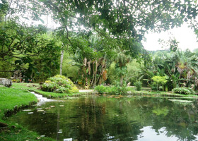 Район Лагуны и Ботанического сада в Рио
