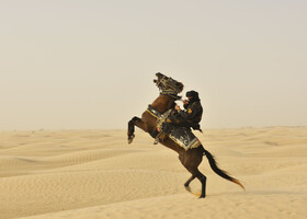 Большая песочница  Сахара