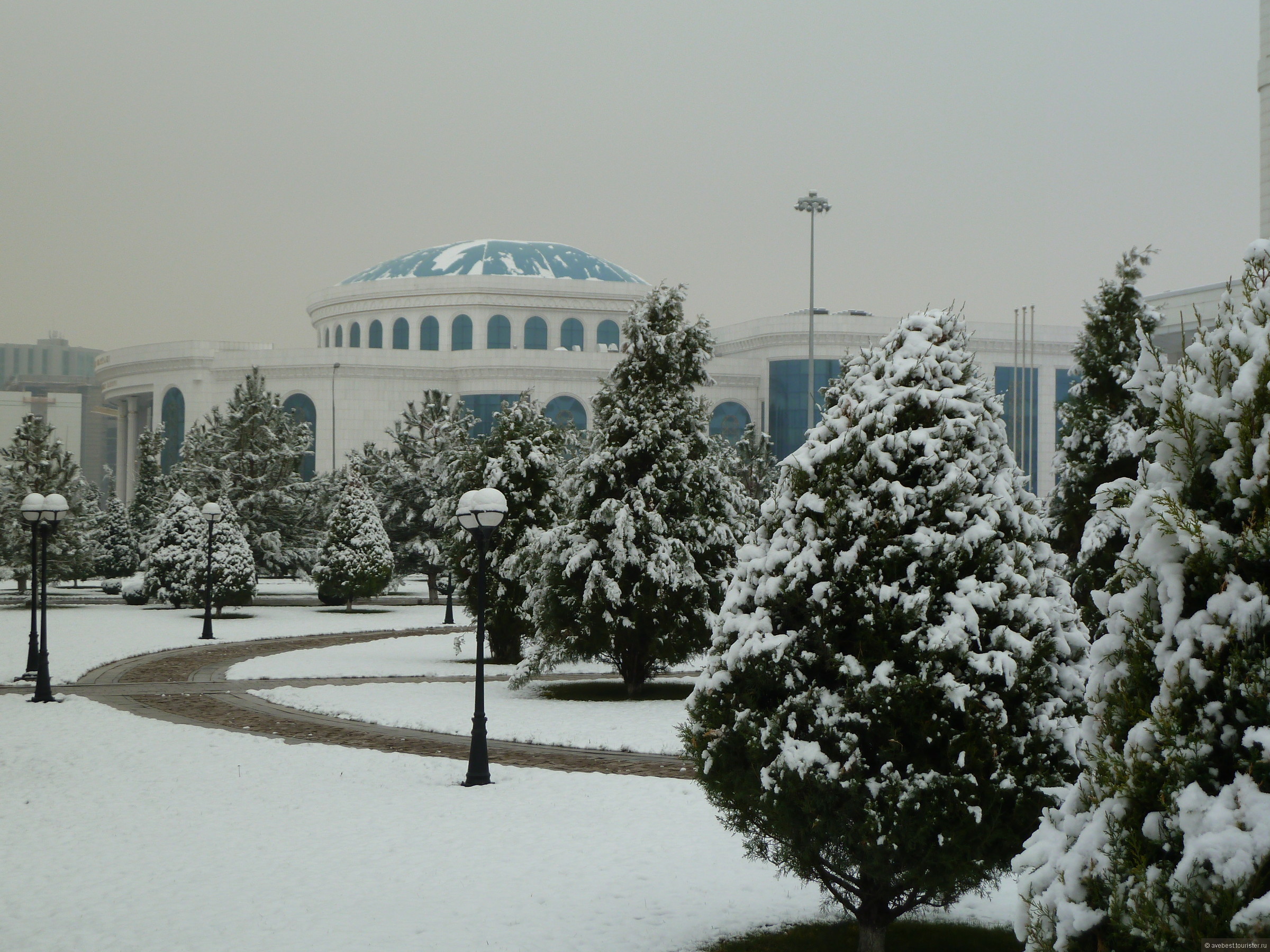 Ташкент январь. Узбекистан Ташкент зимой. Зима в Узбекистане Ташкент. Ташкент зима 2020. Снежный Самарканд.