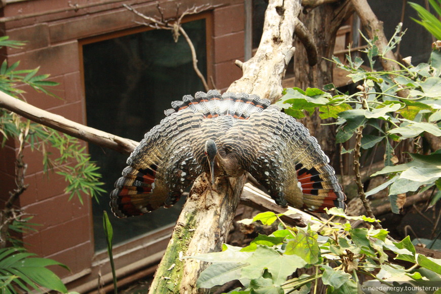 London Zoo