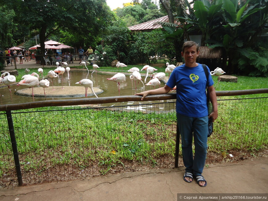 В парке Птиц в Национальном парке Игуасу (Бразилия) -  25 декабря 2014 года