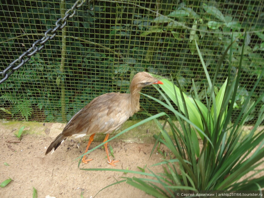 Парк птиц в Национальном парке Игуасу