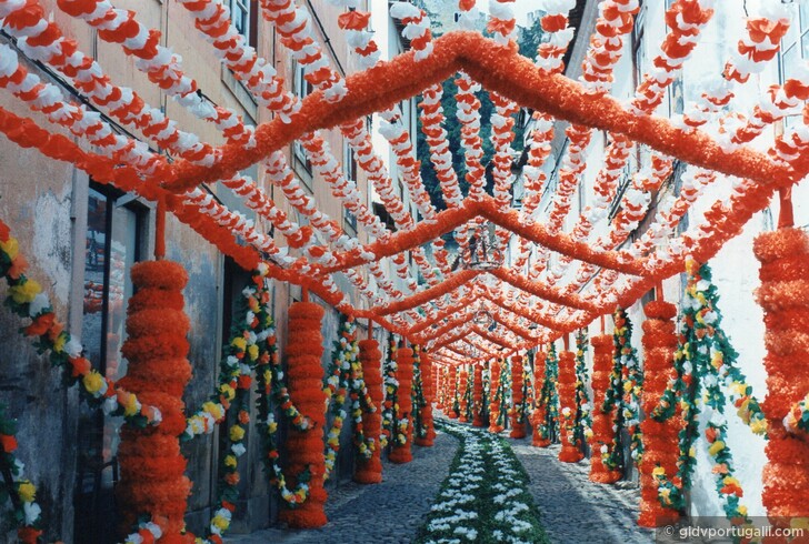 Праздник Подносов / Festa dos Tabuleiros