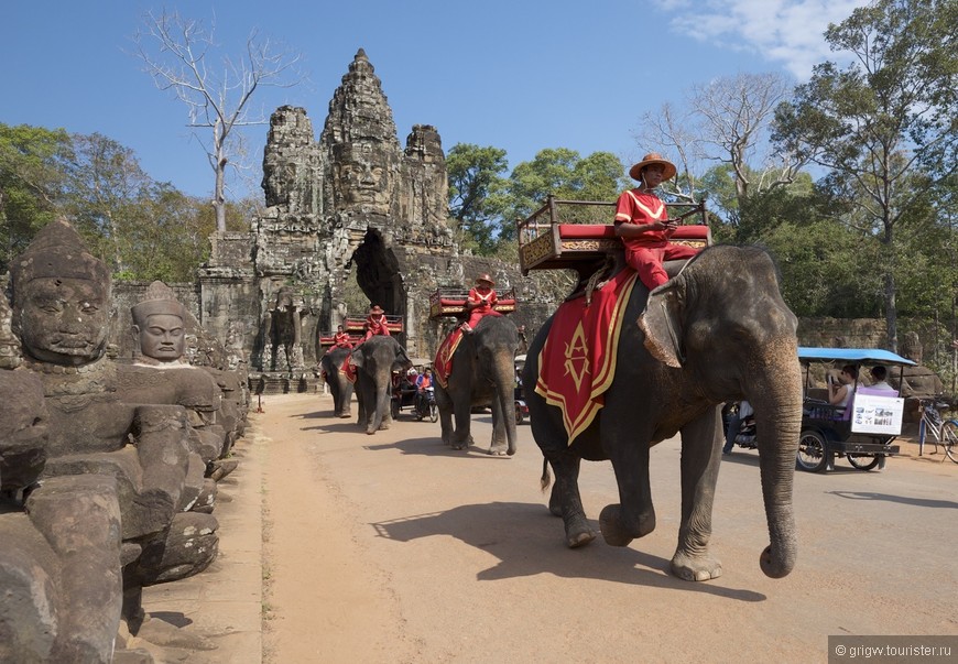 Богатые туристы путешествуют на слонах.