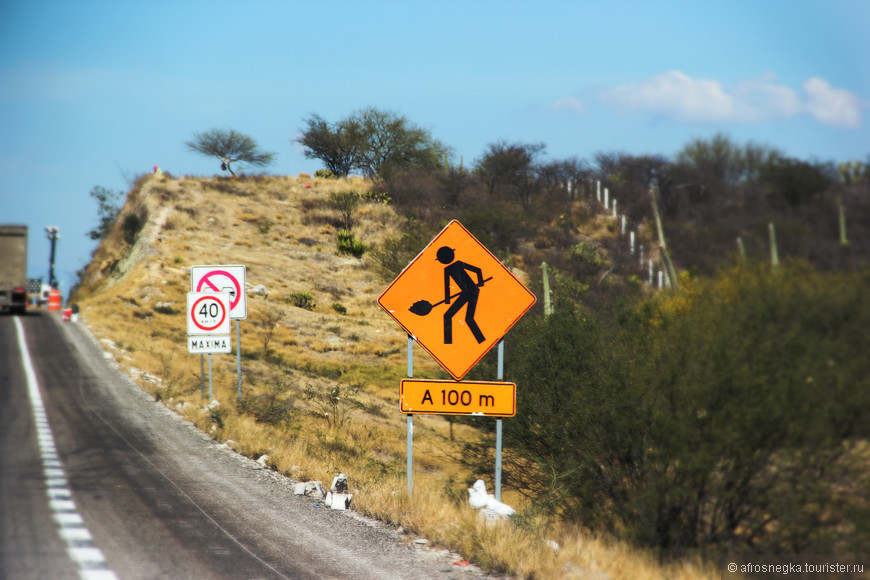 На машине по Мексике — что нужно знать водителям?
