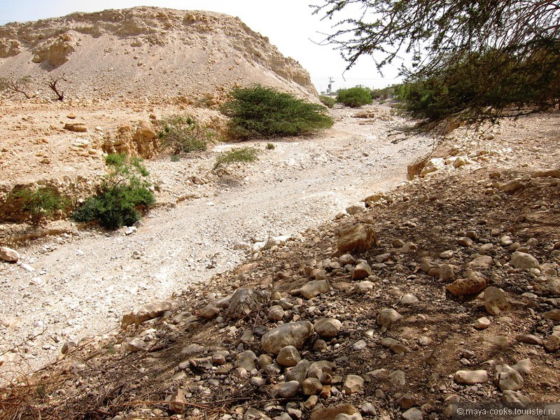 Вокруг мертвого моря: загадки Иудейской пустыни 