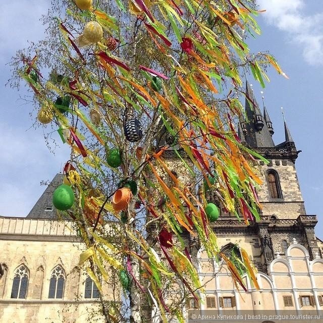 Цветение в Праге