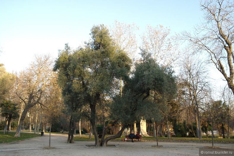 Живописные места в парке Буэн-Ретиро в Мадриде.