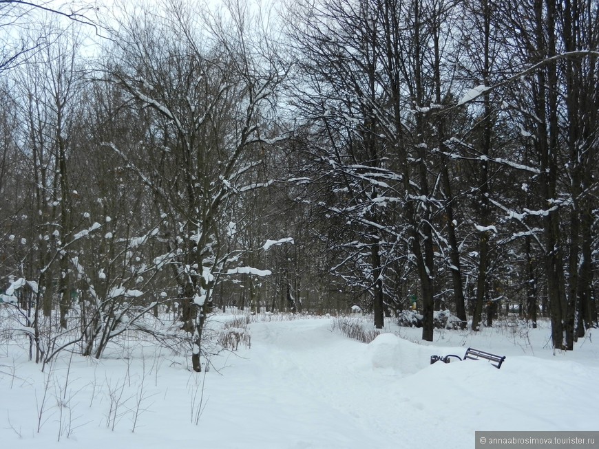 Зимние пейзажи малоизвестного московского парка