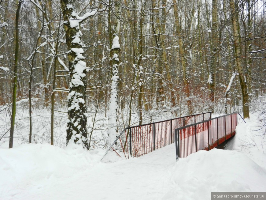 Зимние пейзажи малоизвестного московского парка