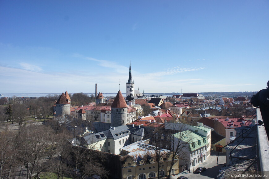 Таллин — особое место в моем сердце