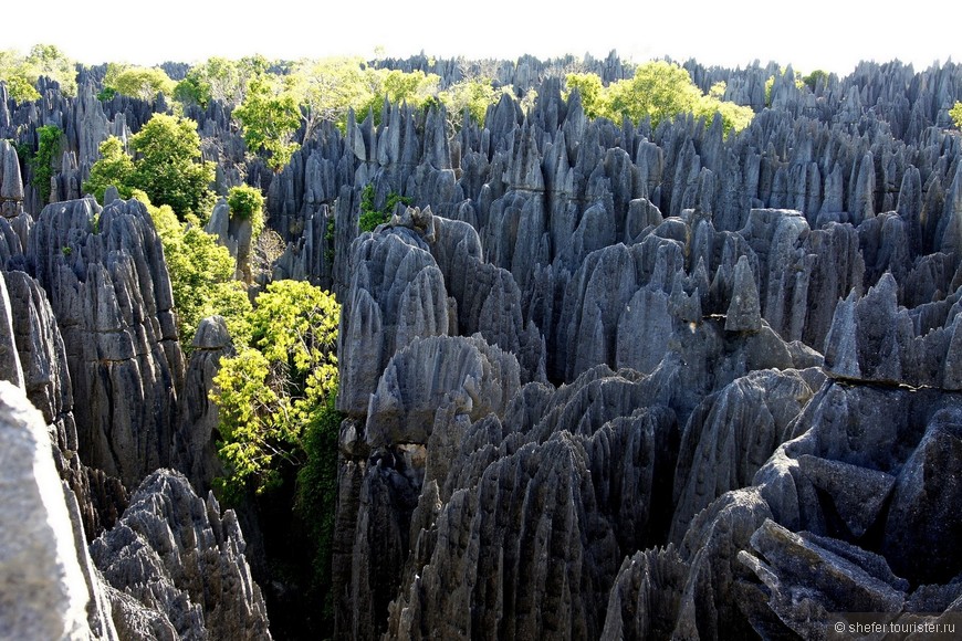 Другой Мадагаскар. Голубые горы седьмого континента