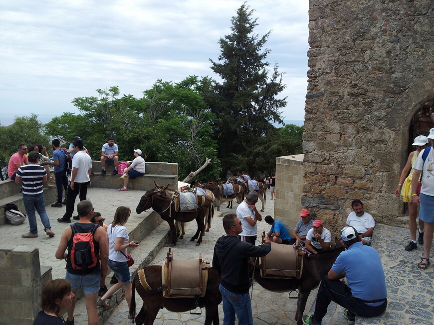 Эти ослики поднимают туристов от центральной площади городка к стенам Акрополя.