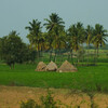 Сельский пейзаж в Карнатаке
