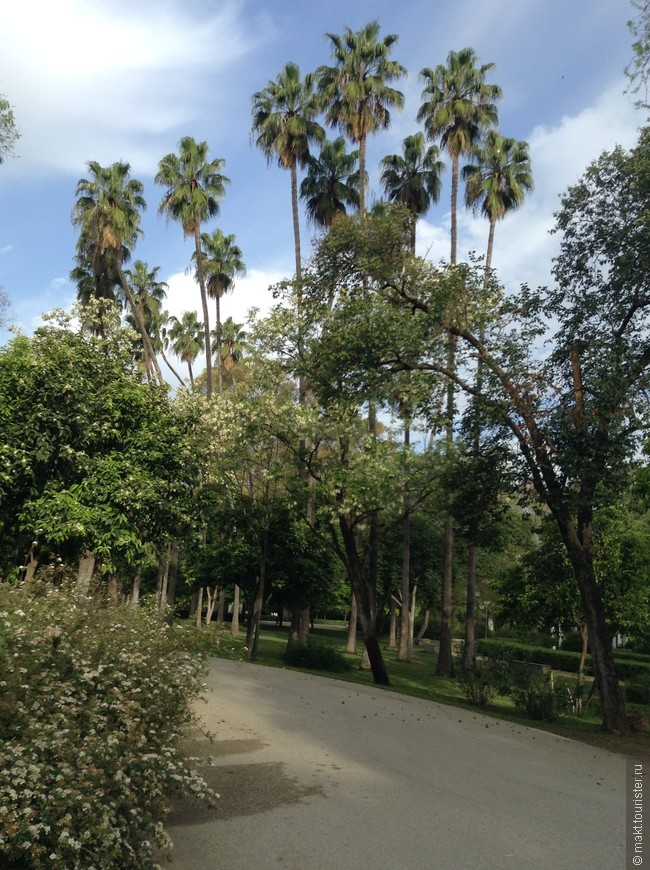 Прогулка в парке Севильи
