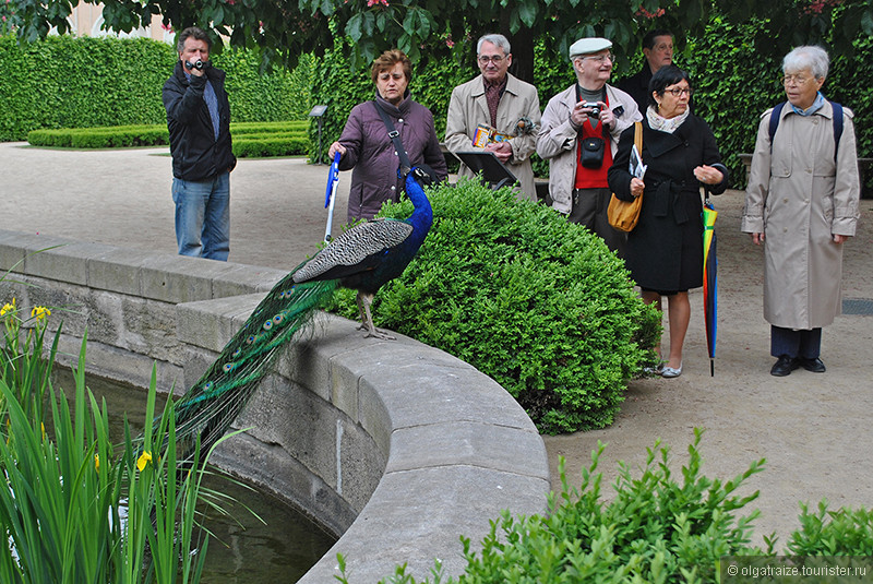 Вальдштейнский сад. Красота и помпезность дворцовой Праги
