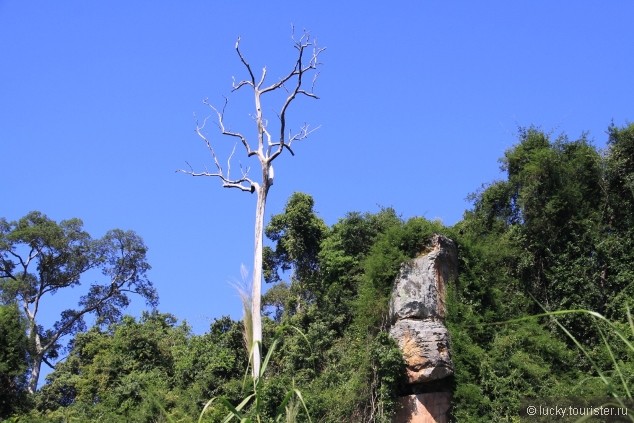 Экскурсия в Национальный парк Пном Кулен и Кбал Спиен