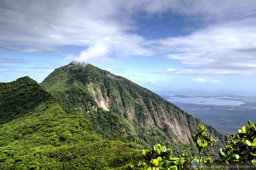 Таинственный облачный лес на верхушке вулкана Момбачо в Никарагуа