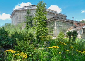 Ботанический сад им. Петра Великого