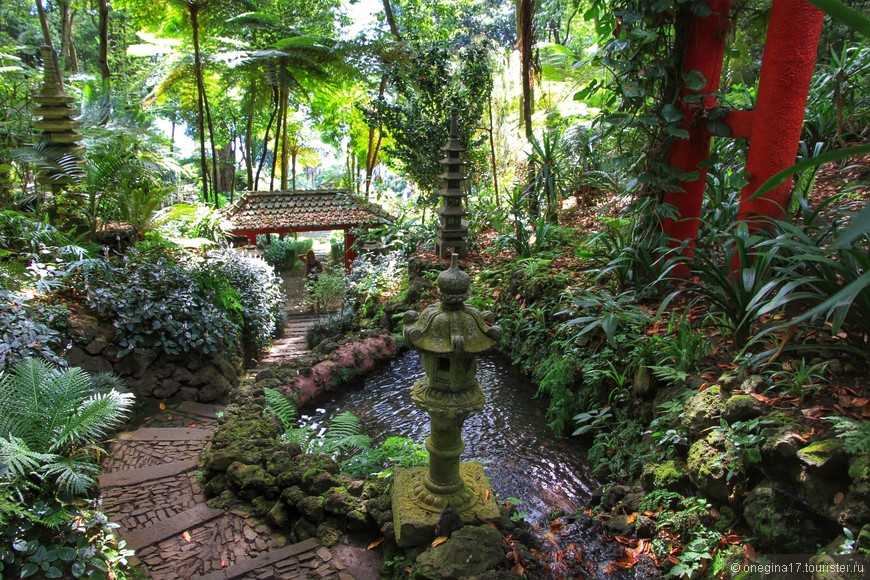 Красивейший сад тропических растений.