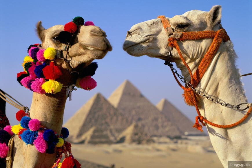 Каир - город трех культур или Что посмотреть в столице Египта