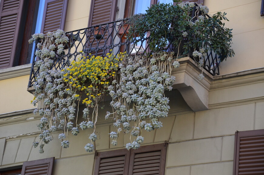 Весна в Милане
