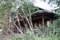 Коттедж в лодже Mara Simba в заповеднике Масай Мара