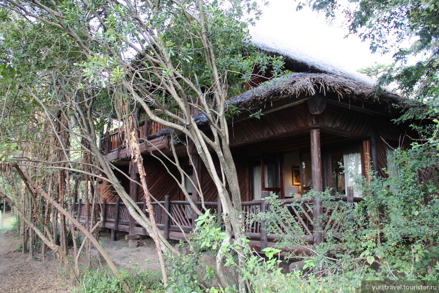 Коттедж в лодже Mara Simba в заповеднике Масай Мара