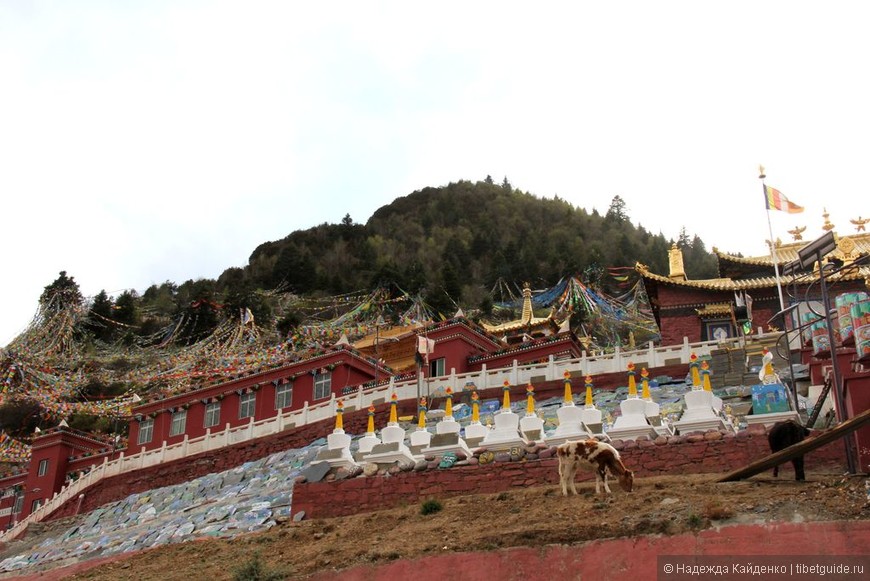 Монастырь Авалокитешвары в Восточном Тибете,
гармония природы, религии и человека