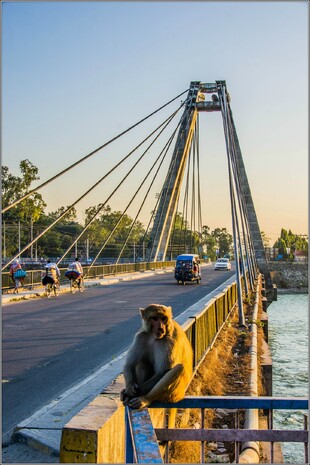  жизнь на мосту через один из притоков Ганга-ривэ в сторону центра города на закате