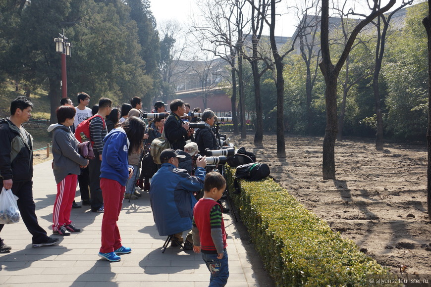 Мой любимый Пекин (Сердце города). Гугун и очарование парков