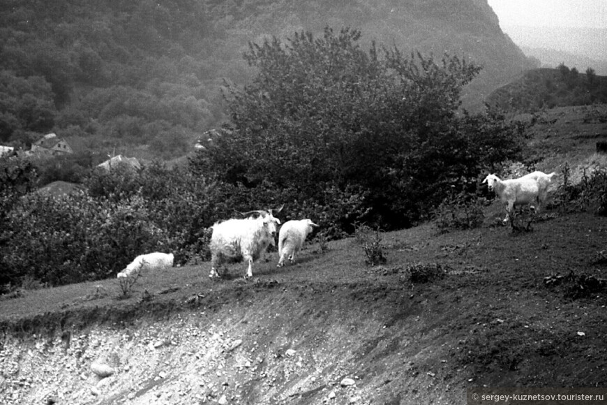 Кабардино-Балкария 1976: Нальчик, Белая Речка и Приэльбрусье