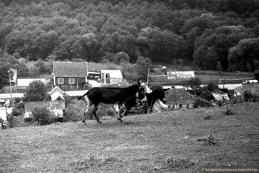 Кабардино-Балкария 1976: Нальчик, Белая Речка и Приэльбрусье