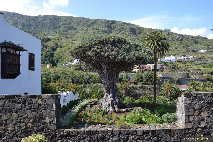 Тенерифе — остров вечной весны