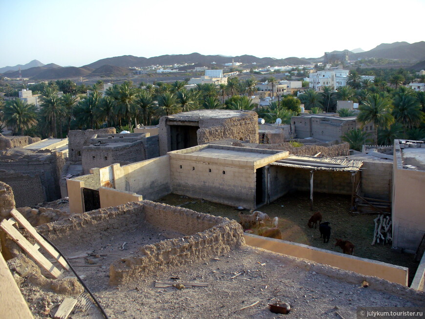 Оман — страна пяти сотен крепостей. Часть 2: Дахилия