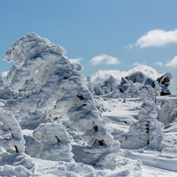 на вершинах, во время снегопада, снег часто летит параллельно склону. Образуются вот такие живописные шапки на деревьях и камнях.