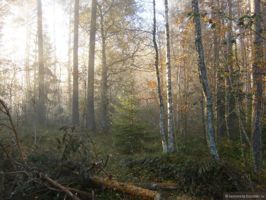 Весна. Движение на Север. Карельский перешеек