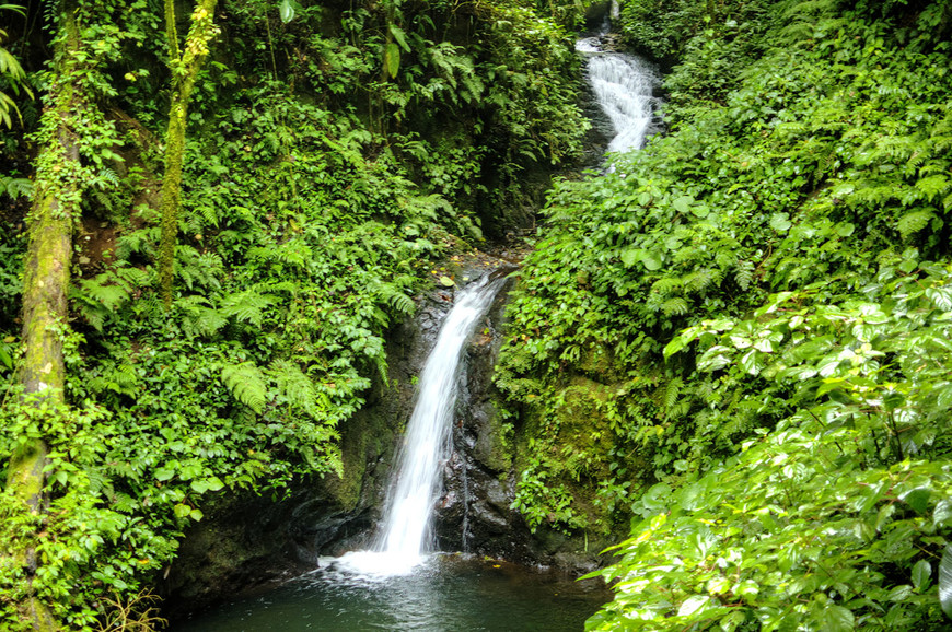 Коста Рика. Национальный парк Монтеверде