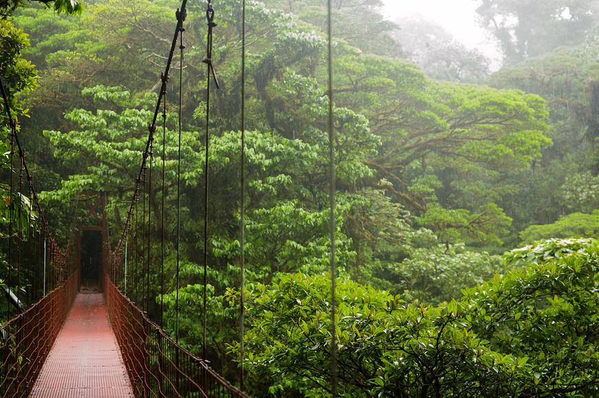 Коста Рика. Национальный парк Монтеверде