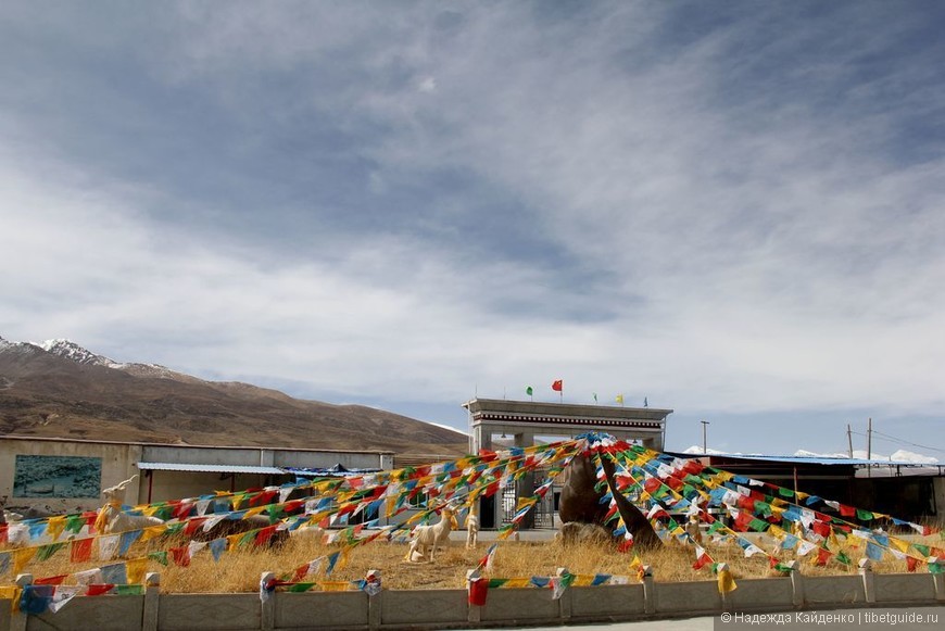 Горячие источники Янгпачен в Тибете — вне стандартных заезженных маршрутов